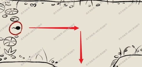 炉石传说预约入口官网_炉石传说预约入口全知道，开启你的卡牌之旅