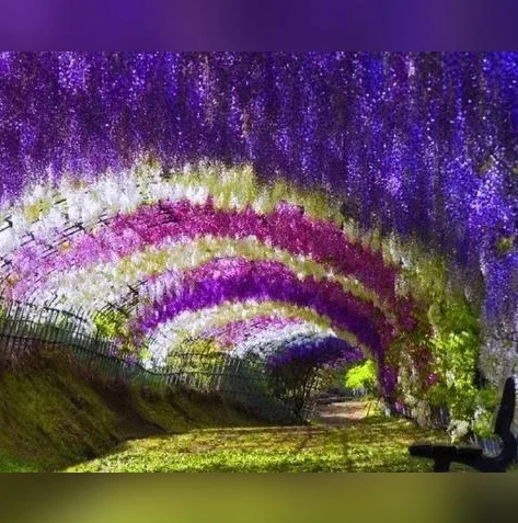 梦幻西游电脑版赚钱快_梦幻西游电脑版赚钱全攻略，多种途径开启财富之旅