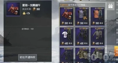 和平精英里面的金币怎么用新版本兑换_和平精英新版本，金币的多样用途全解析