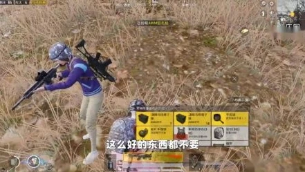 安娜的和平精_和平精英,安娜与天成的巅峰对决