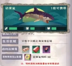第五人格官方网站网址是多少_探索第五人格官方网站，深入了解游戏世界的门户