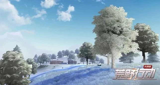 荒野行动最开始的样子是什么_荒野行动,初始模样的深度剖析