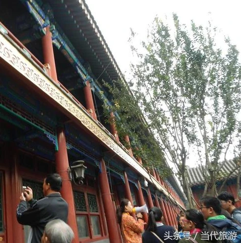 梦幻西游手游藏宝阁渠道版网页在线玩_梦幻西游手游藏宝阁渠道版网页在线玩,开启梦幻之旅的新方式