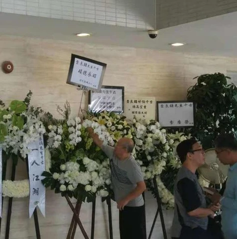 神雕侠侣刘亦菲版在哪个平台播出_，经典武侠剧的不朽传奇与平台传播影响力