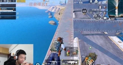 和平精英鲨鱼主播间_走进和平精英鲨鱼直播间，热血对战与欢乐互动的盛宴