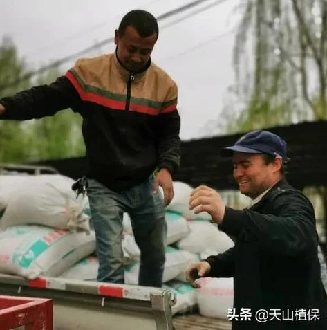 创造与魔法坐骑小顽皮位置_创造与魔法，小顽皮坐骑全解析之饲料与获取位置