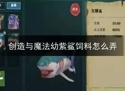 创造与魔法幼紫鲨怎么驯服_创造与魔法，幼紫鲨驯服全攻略，饲料制作与驯服技巧