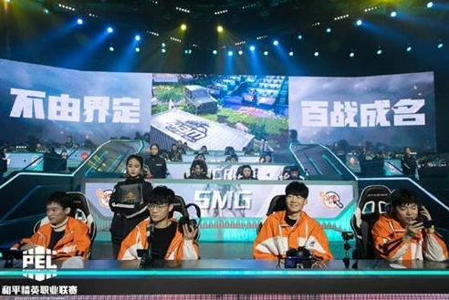 pel和平精英职业联赛直播回放_回顾2019 PEL和平精英职业联赛，热血与激情的电竞之旅