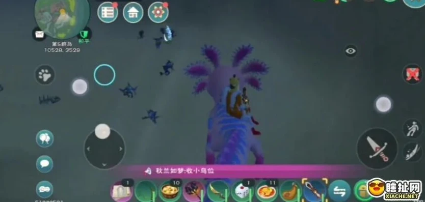 创造与魔法阳光岛上有什么生物_创造与魔法阳光岛物资全解析，生物、资源一网打尽
