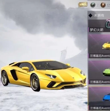 鲨鱼和平精英主播视频_鲨鱼，和平精英战场上的独特主播