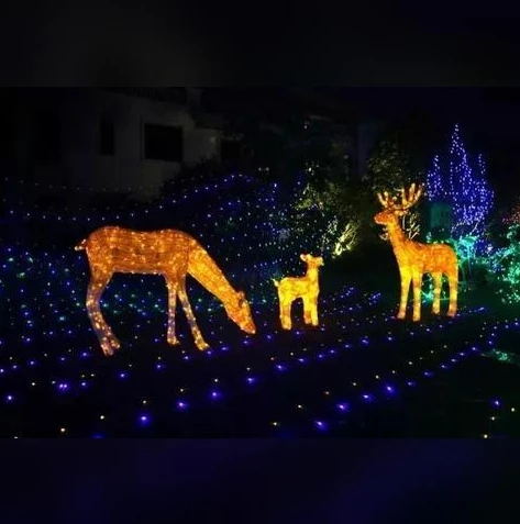 梦幻西游手游时空版渠道版怎么玩_梦幻西游手游时空版渠道版全解析，新手入门到精通玩法指南