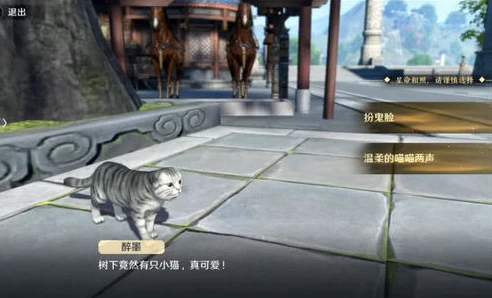 天涯明月刀猫之友结局_〈天涯明月刀〉猫之友奇遇全解析,暖心相伴的奇妙之旅