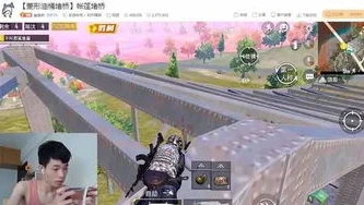 和平精英主播鲨鱼的id_和平精英主播鲨鱼，游戏世界中的独特鲨鱼