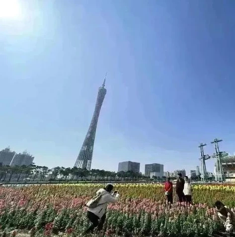 王者荣耀微信区礼包大全_王者荣耀微信区礼包全解析,超值福利一网打尽