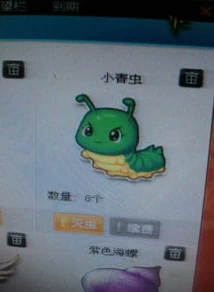 qq飞车小青虫可以买吗_QQ飞车小青虫获取全解析，能否购买及其他获取途径