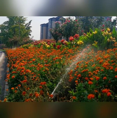 战争雷霆退坑了怎么办_战争雷霆退坑，应对之策与心路历程