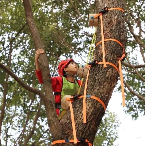 荒野行动游戏app是什么级别的软件_探究荒野行动游戏App的级别,从多方面剖析其游戏特质