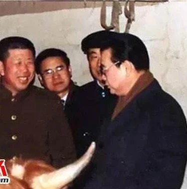 战双帕弥什官网下载地址_战双帕弥什电脑版，官网下载全指南与游戏深度解析