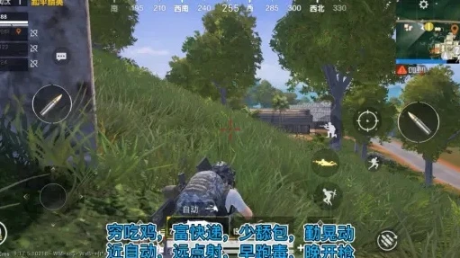 和平精英小视频大全挑战任务吃鸡_和平精英，从小视频中学到的吃鸡秘籍