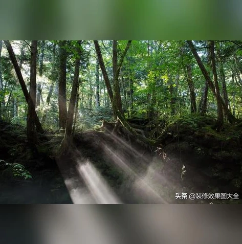 梦幻手游任务做完了怎么办才能完成_梦幻手游任务做完后，探索多元玩法，持续提升游戏乐趣