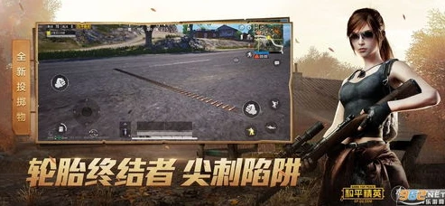 和平精英直播在线观看鲨鱼_热血激战，和平精英鲨鱼直播在线观看全体验