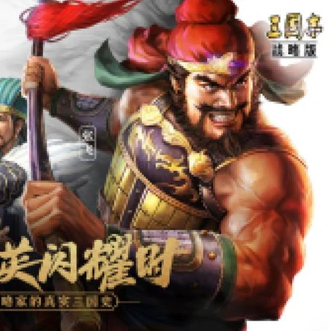 三国神将传阵容搭配张辽_三国神将传之张辽阵容搭配全解析