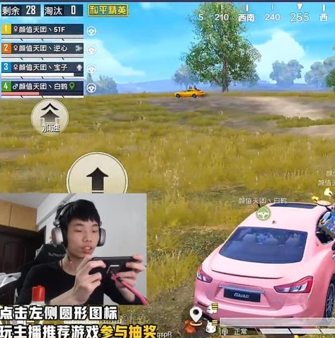 和平精英鲨鱼身价多少_和平精英鲨鱼，身价背后的传奇之路
