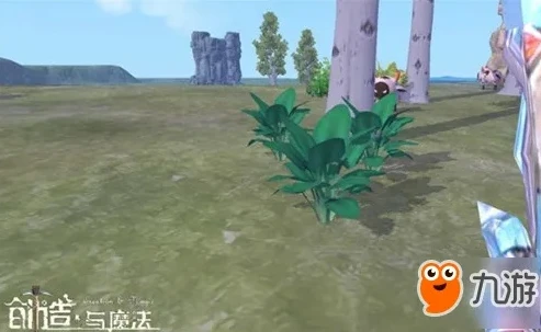 创造与魔法苗圃可以种什么树_创造与魔法苗圃种树全攻略，从种植到收获