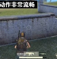 网易版本荒野行动下载安装_网易版荒野行动下载，开启热血枪战之旅