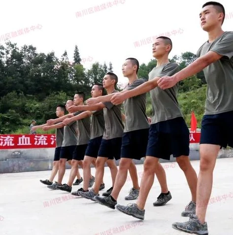 穿越火线枪战王者体验服申请资格_穿越火线枪战王者体验服申请,全方位解析与问卷答案思路