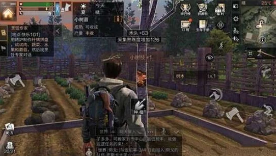 明日之后小树枝怎么弄出来的视频_明日之后小树枝获取全攻略，多种途径轻松搞定