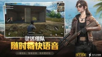 和平精英游戏直播需要什么设备_和平精英直播全攻略,开启热血对战直播之旅的设备指南