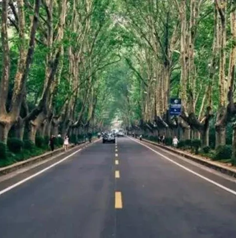 和平精英小新地铁逃生游戏解说_和平精英小新地铁逃生，惊险刺激的地下冒险之旅