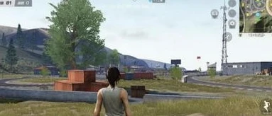 荒野行动直播pc版下载_畅玩〈荒野行动直播PC版〉，下载、体验与精彩之旅