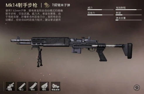 和平精英小新露脸照_和平精英一喷一狙小新，枪械选择背后的策略与实力