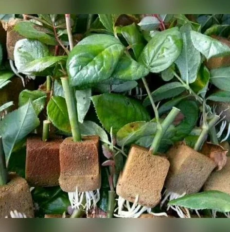 大话西游2由于长时间没有操作_大话西游2操作失误怎么办,应对长时间未操作引发的状况