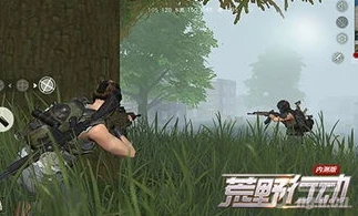 荒野行动pc直播间_荒野行动PC版，看江晚晚直播，畅享热血枪战之旅