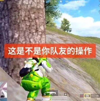 和平精英蜡笔小新师徒四人_和平精英，蜡笔小新师徒四人的爆笑征战之旅