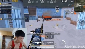 和平精英鲨鱼在哪里直播几点直播_和平精英鲨鱼直播全知道，平台与直播时间全解析