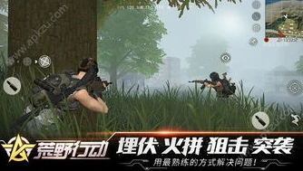荒野行动网易官方版下载安卓手机_畅享热血竞技，荒野行动网易官方版安卓下载全解析