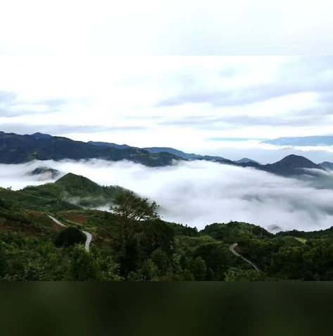 qq飞车云海哪里直播了_探寻QQ飞车云海的直播踪迹，高手的直播之旅