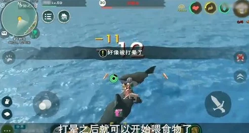 创造与魔法漂流瓶能开出什么宠物_创造与魔法,漂流瓶的惊喜——宠物篇
