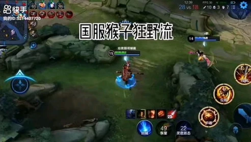 王小贱猴子出装铭文_王小贱猴子深度解析,出装铭文与实战技巧全览