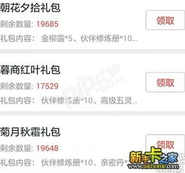 大话西游礼包兑换码怎么使用_大话西游兑换码礼包领取与使用全攻略