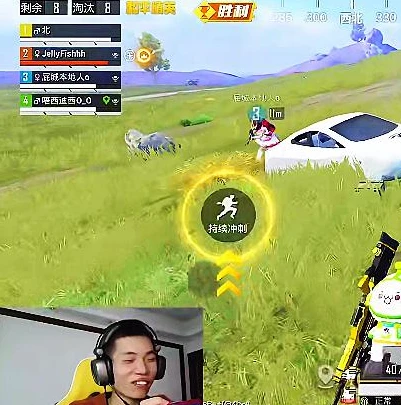 和平精英鲨鱼哟17杀_和平精英鲨鱼17杀背后的掉52分惨案，荣耀与挫折的戏剧性交织