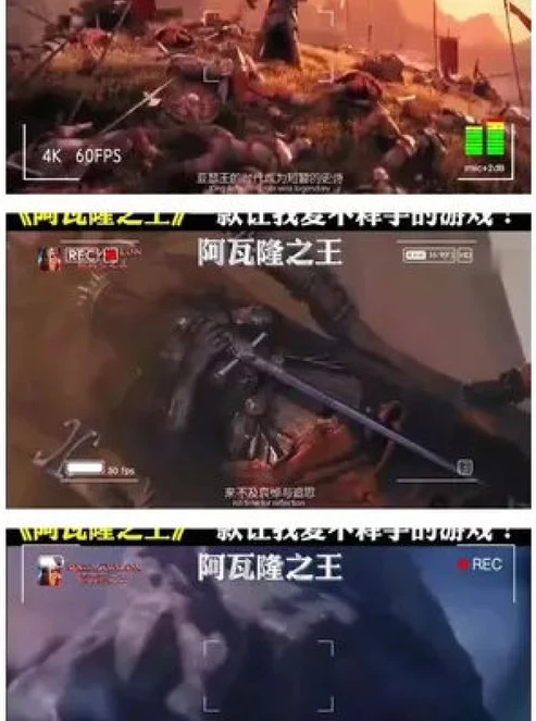 阿瓦隆之王凛冬最新版本是多少啊_探寻阿瓦隆之王凛冬最新版本,游戏新貌全解析