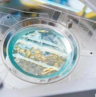 时空猎人3官方网站_时空猎人3官方2024，崭新征程与热血冒险