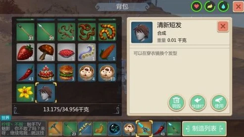 创造与魔法英雄互娱版本怎么下载_创造与魔法英雄互娱电脑版下载全攻略
