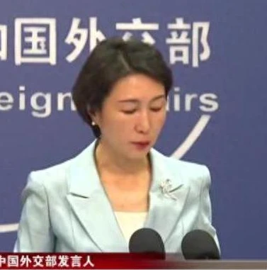 原版的第五人格空军怎么玩_原版第五人格空军玩法全解析，从技能运用到实战策略