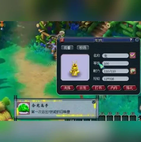 梦幻西游手游单机版有哪些服务器_探索梦幻西游手游单机版,服务器全解析